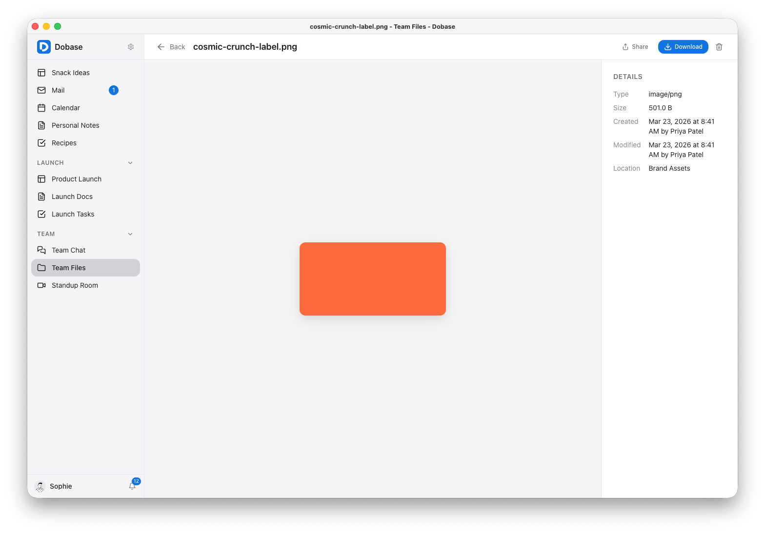 File preview with metadata