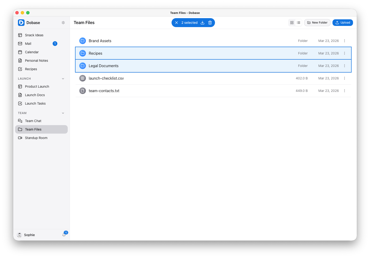 File storage with folders and selection